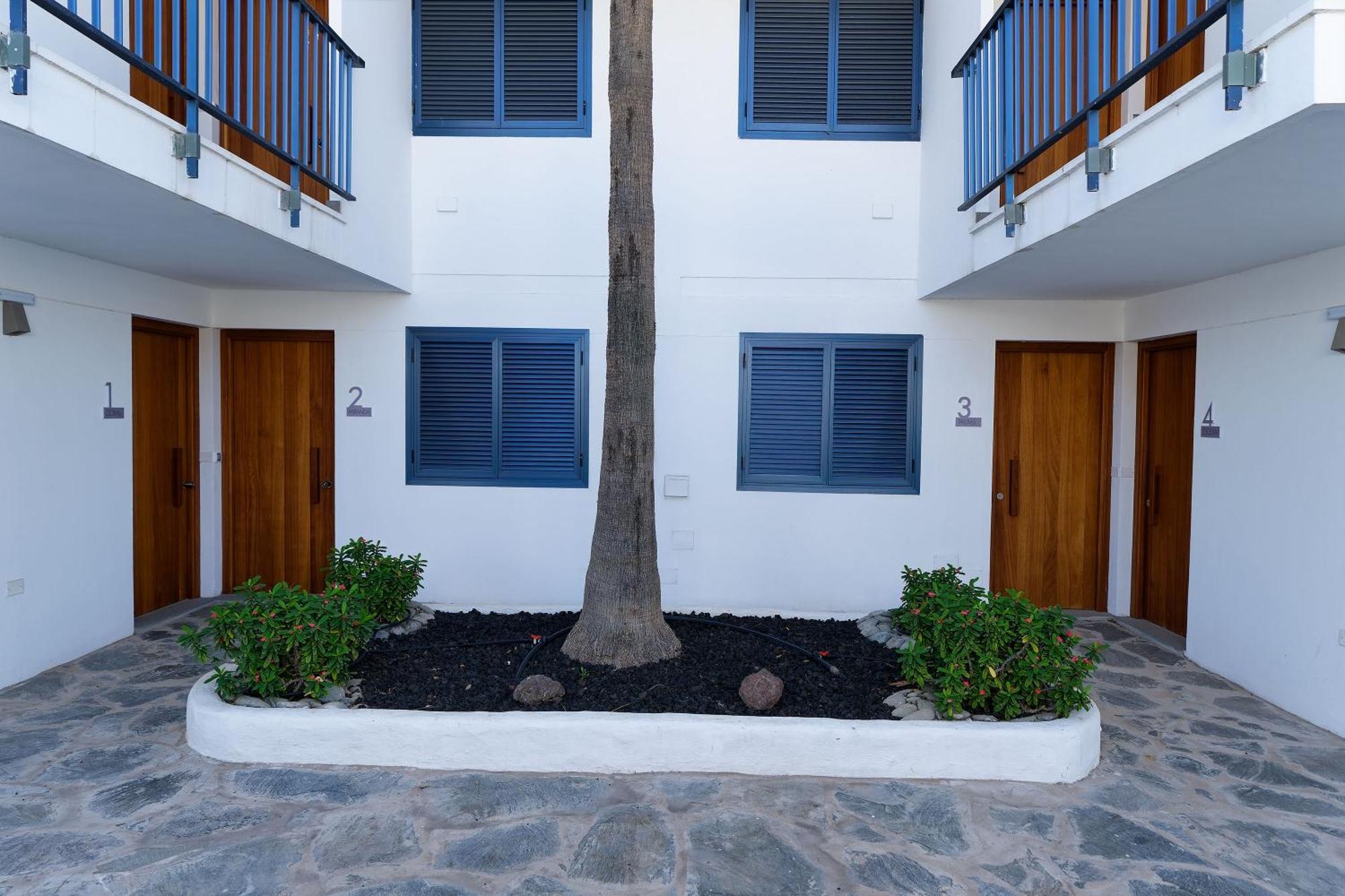 Apartmán Amapola Ocean - Recien Reformado, Frente Al Mar San Agustín Exteriér fotografie
